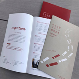 新商品・サービス開発支援